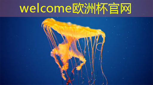 welcome欧洲杯官网：沈阳应该是智慧城市嘛